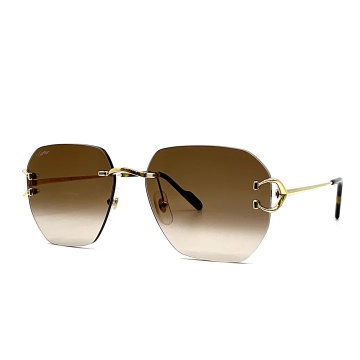Gold Brown Metal Sunglasses - CCT0394S002